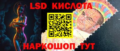 дмт Гатчина