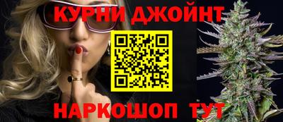 дмт Гатчина