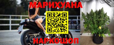 гидра Гай