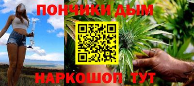 дмт Гатчина